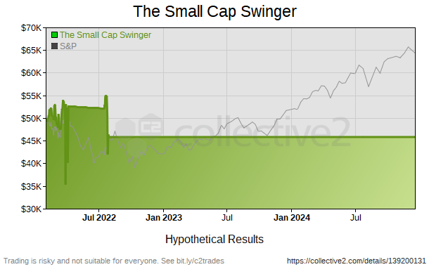 The Small Cap Swinger